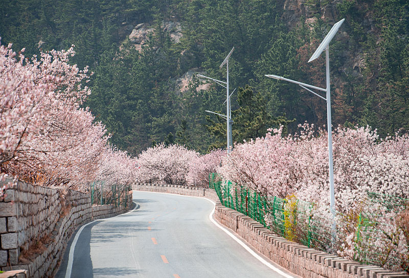 智慧公園智慧燈桿系統(tǒng)集成解決應用方案